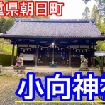 おかぴーの三重県は最高やに