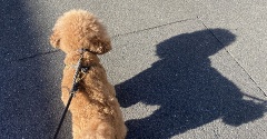 デカプーボンちゃんの朝んぽと好きな表情