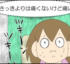 ポリープさん、どこですか②