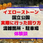 子供3人、元リケジョ転勤妻の奮闘記