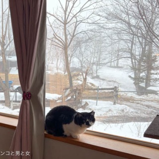 馬とニャンコと男と女