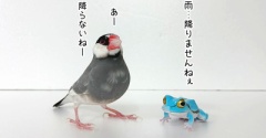 干からびちゃうって言うから