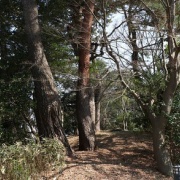 2025.03 ÂçÅĶè ¿ËàÀîÂæ¸ø±à2