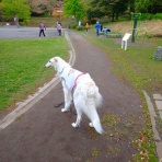 いんちょブログ