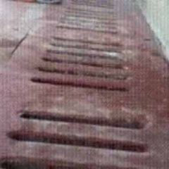 子ネコたちの鳴き声が「側溝」の中から聞こえる → 猫好きは覗いてはいけません…