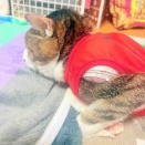 これは闘いなのか⁉️