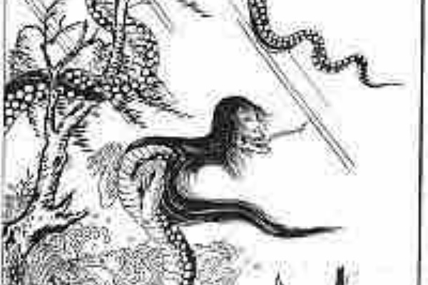 妖怪愛好家ヒロユキによる妖怪ブログ 18年06月