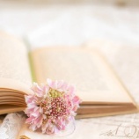 『自分は何をしたいのか、やるなら今のうち』の画像