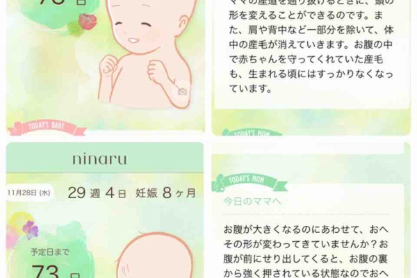 妊娠した日から思い立って書き始めた日記 一部前置胎盤 妊娠した日から思い立って書き始めた日記 一部前置胎盤