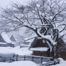 2026.2.12　一枚の彩時季