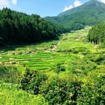 奥三河ガサゴソ旅女会