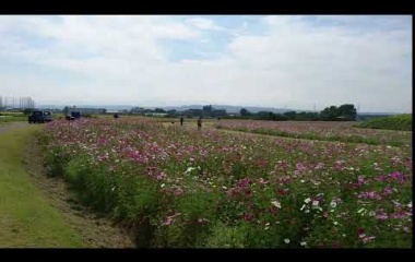 『2017/10/9 八幡塚古墳と二子山古墳。』の画像