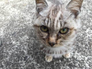 俺の浮気がバレた時、「浮気ぐらいでガタガタ言うな！」と逆ギレして一方的に話を終わらせた。そして今回、嫁の浮気を問い詰めたら同じ事を言われた。