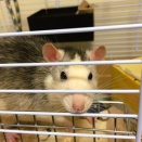 琳太さん、怪我してた！