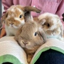 すくすく成長ベビちゃん♡