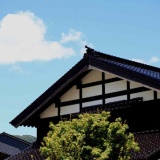 この夏は、やはり暑いです。