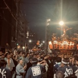 『東京下町の祭で楽しく神輿を担ぐ方法 vol.4383』の画像