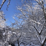植野工務店　盛岡
