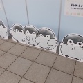 ポップアップストア「コウペンちゃんはなまるやさん」＆松屋「牛カルビホルモン丼」