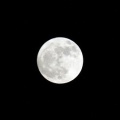 月夜の庭が運命を開く