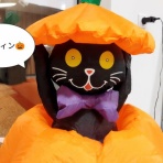 ソワレが要らないフランス暮らし