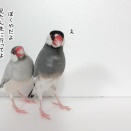 次からは自分で食べてね？