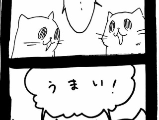 ドワーフキャットタオルちゃん67