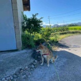 『もう、あかん！』の画像