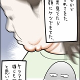 新たなる発見