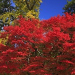 風景写真家・西川貴之の気まぐれブログ