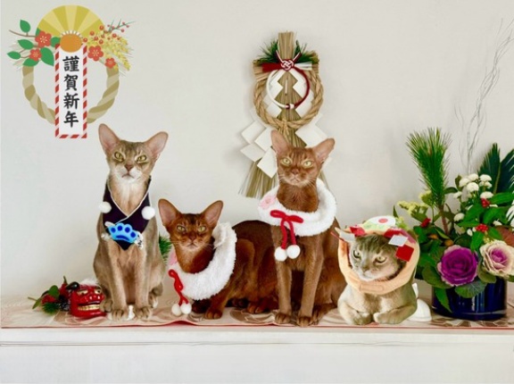 新年あけましておめでとうございます