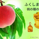 ふくしま桃の日｜捨てるのはもったいない！桃の種の活用法を簡単に紹介