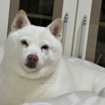 ナチュラルライフ