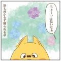写真の撮られ方