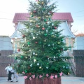 今年の『駅前ツリー』(^^ )