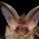 冬を越えて帰ってきた