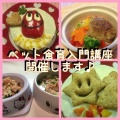 「食」の基本を学ぶ【ペット食育入門講座】in 静岡県三島市、愛知県長久手市、名古屋市