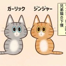 赤子に対する猫の反応