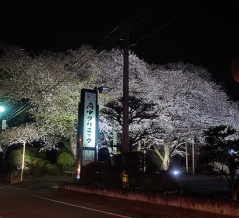 MCCスマート450～社外部品のお話・・やられました。