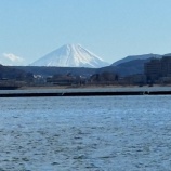 『初富士と白鳥・2026/1/3【長野県岡谷市・諏訪郡下諏訪町】』の画像
