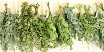 【復讐】中高一貫の学校で中学からいじめられてたが、高3の夏にｼﾞｻﾂしようとして見つけた『幸せな気分になれるハーブ』である事を思いついた