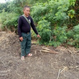 『地雷・不発弾の回収』の画像