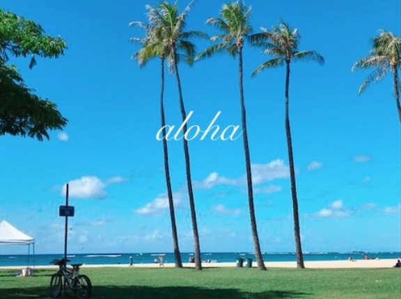 ハワイですごい人気のパラカ柄のバッグ〜♪