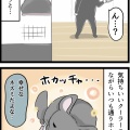 まだまだホカッチャネズミ