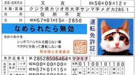 五輪出場逃した猫ひろし　失う３億円と芸人生命
