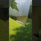 『ビニール袋やボトルを使って葉から水を集める方法』の画像