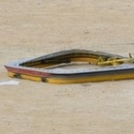 琉球新報記者「米軍事故で街の声聞いたらわからないとの声が結構あって驚く。わからないってなに？」 	