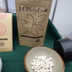 偏頭痛解消サプリずきしらずの実を飲んだ口コミ
