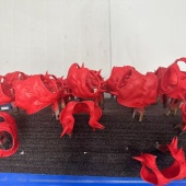 ����������