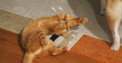 あとちょっと〜！！